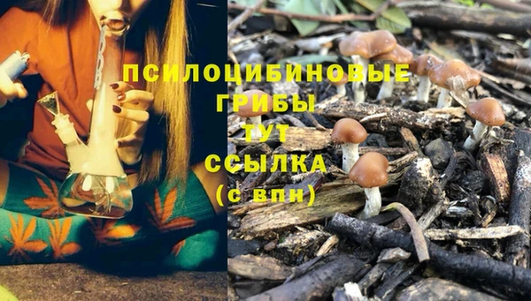 прущая мука Кулебаки