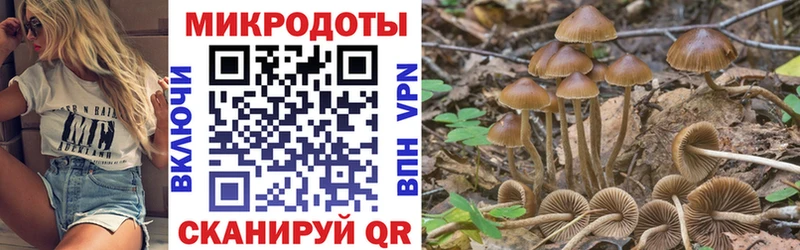 Псилоцибиновые грибы ЛСД  Купить закладки  Верхняя Пышма 