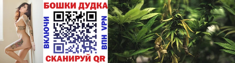 Купить закладки  Верхняя Пышма  Шишки марихуана AK-47 